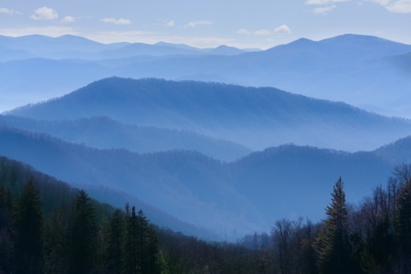 are dogs allowed ingreat smoky mountains nc