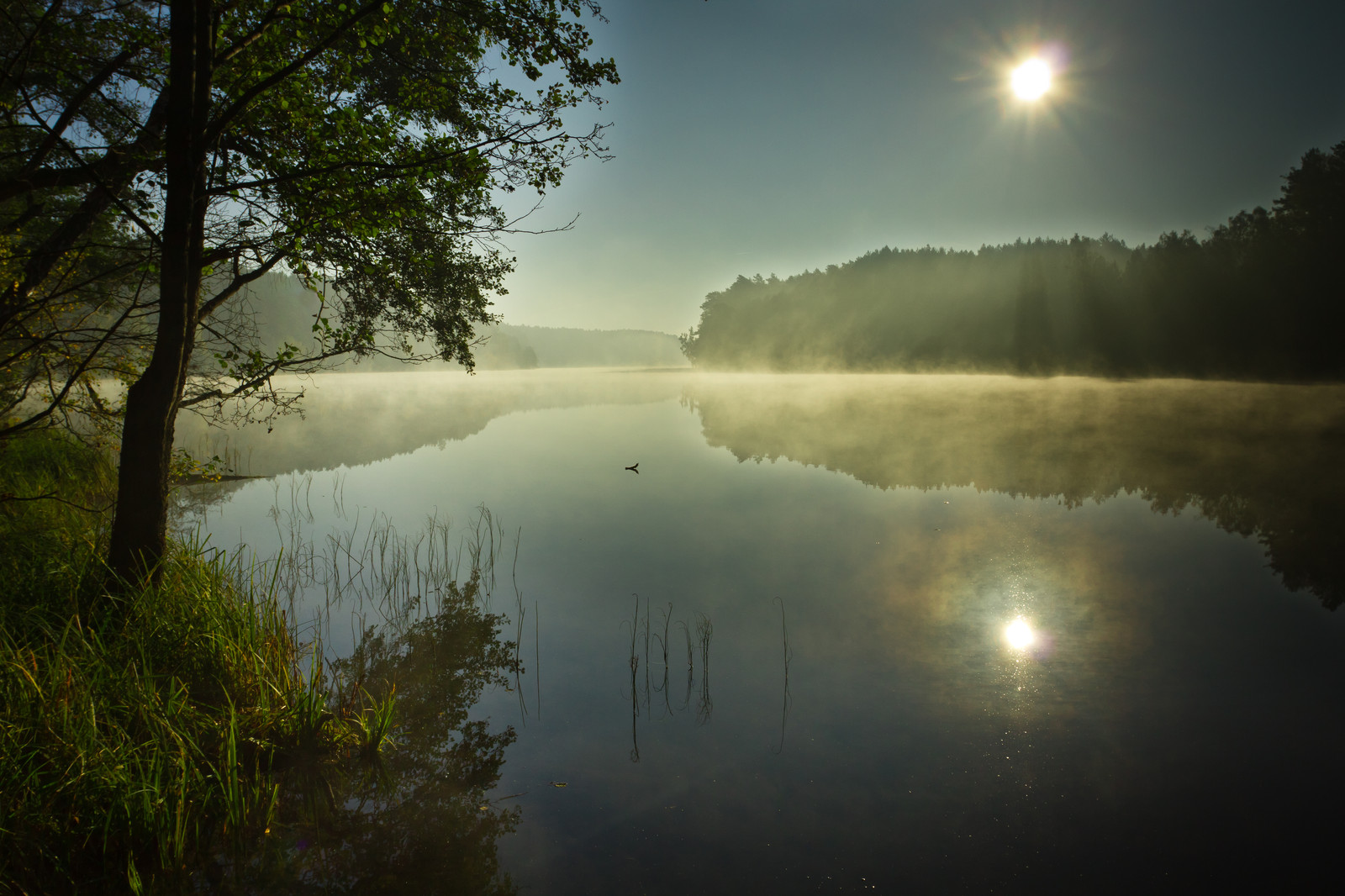 Barbour County State Wildlife Management Area, an Alabama State ...