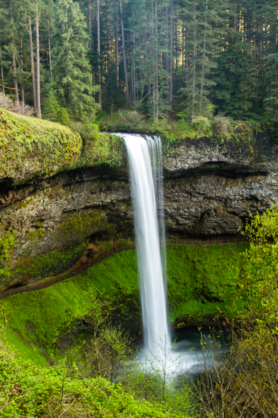 Silver Falls State Park, an Oregon State Park located near Molalla ...