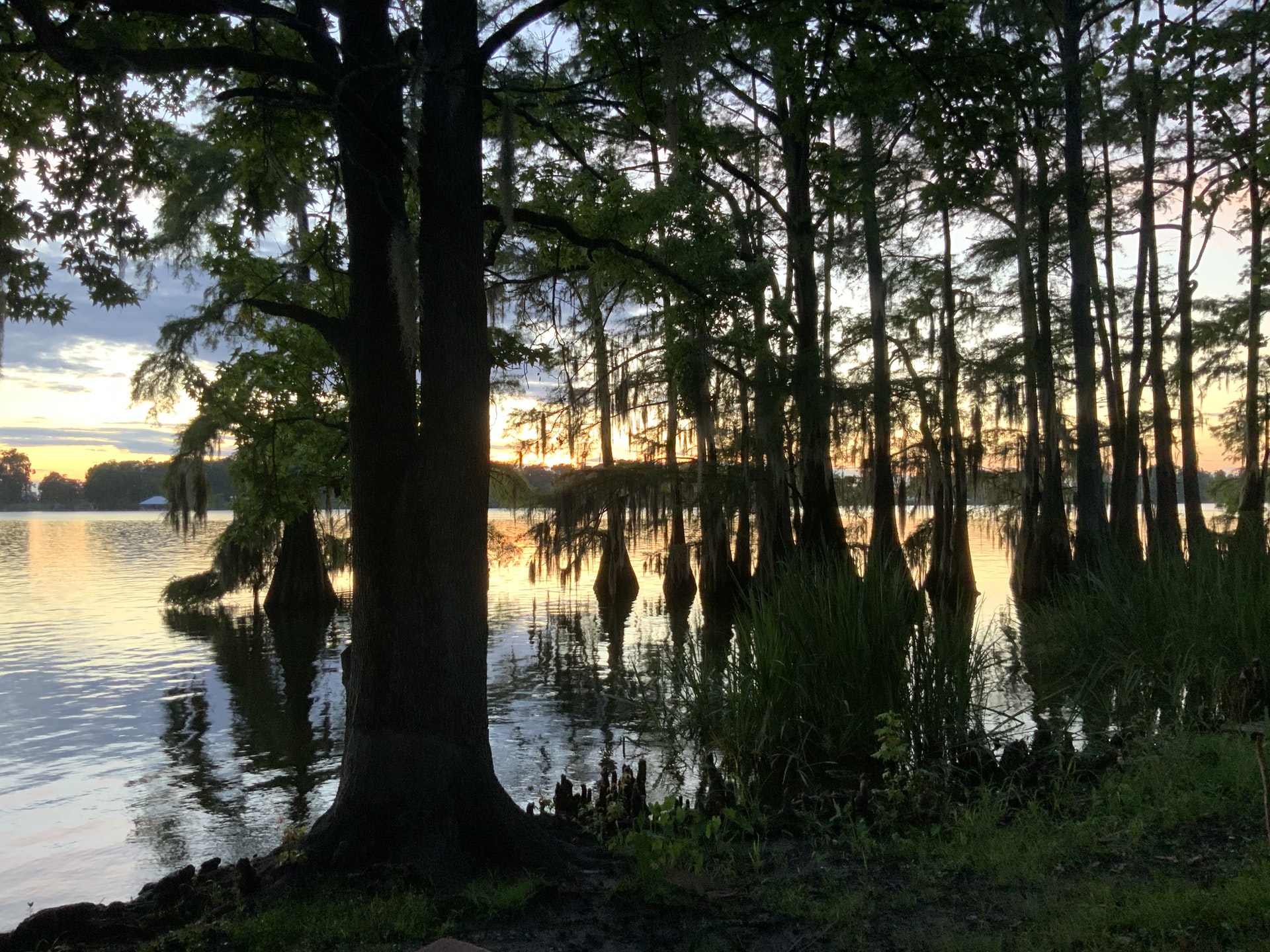 Louisiana's Hidden Gem: Lake Bruin Wayside Park - A Nature Lover's Paradise